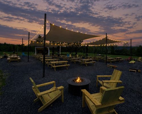 Beer Garden Web