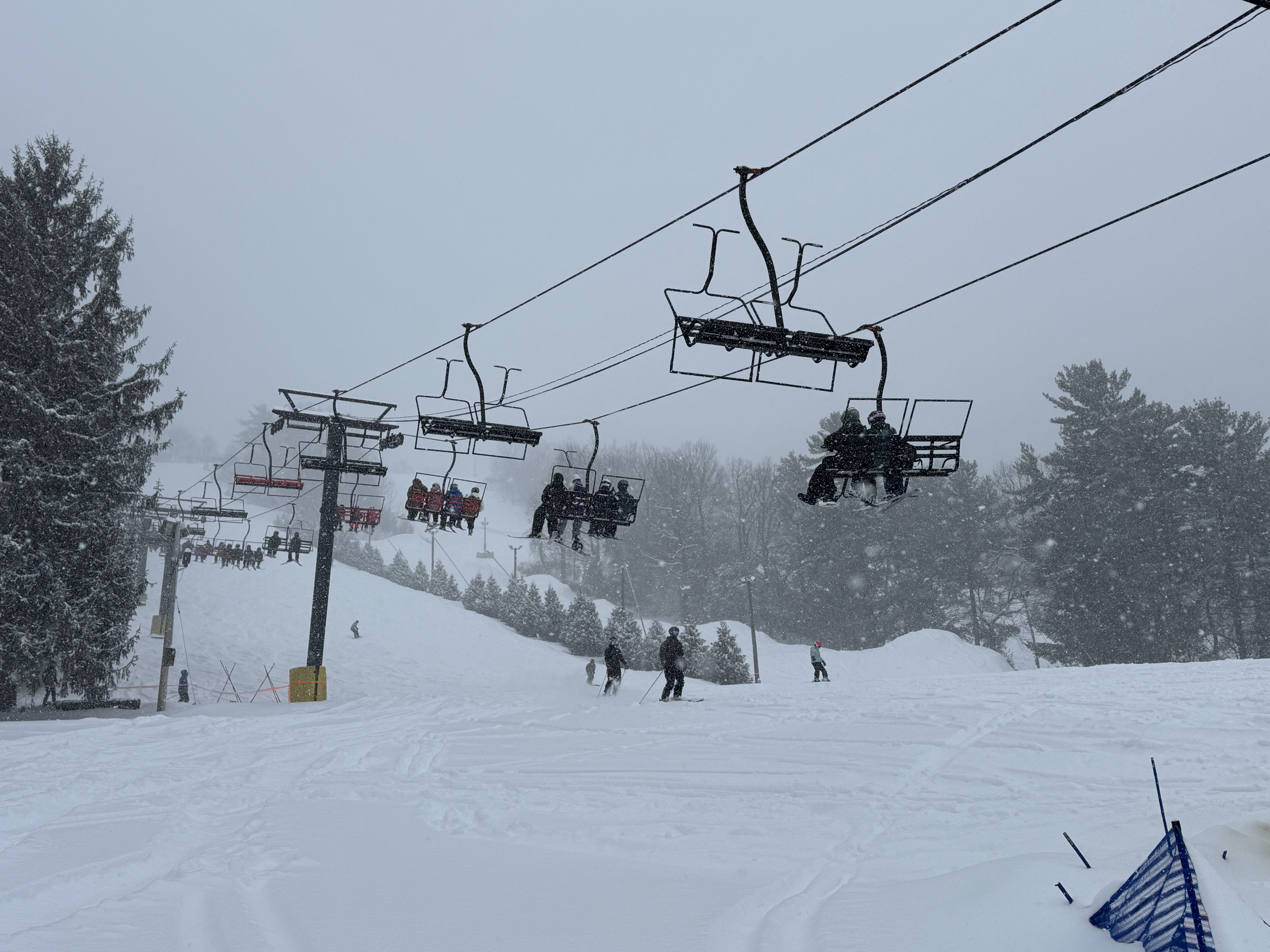 Img 1982