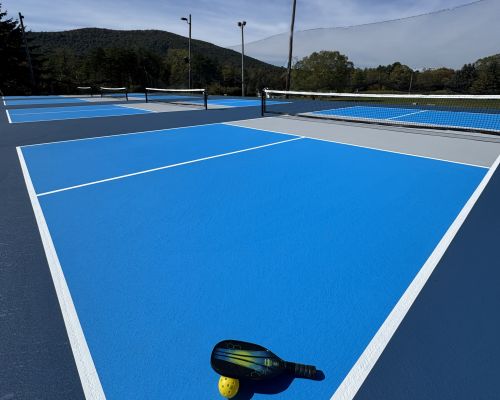 Pickleball Web